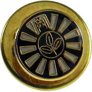Pin 9mm goldfarben